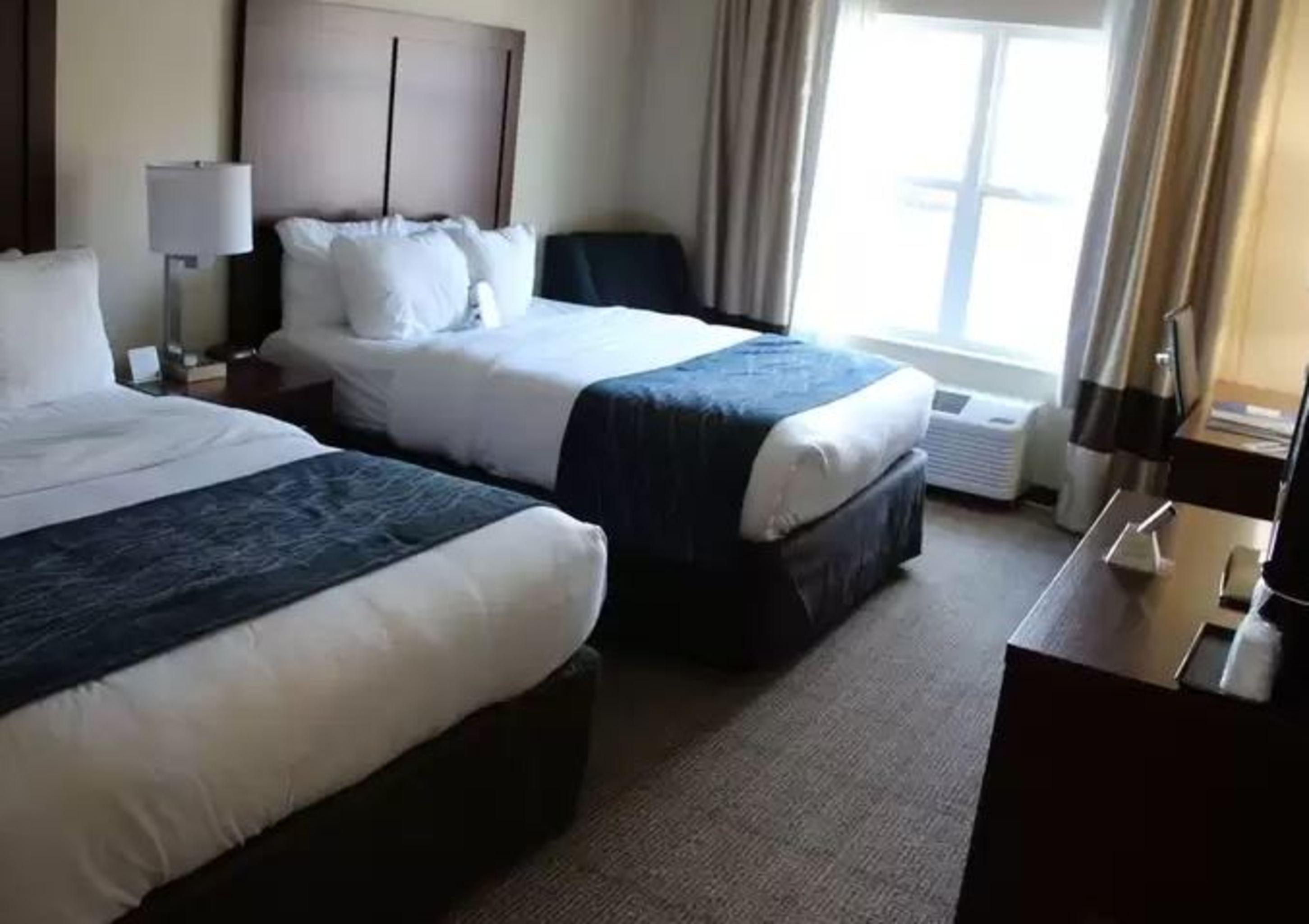 Comfort Inn & Suites Northern Kentucky Wilder Buitenkant foto