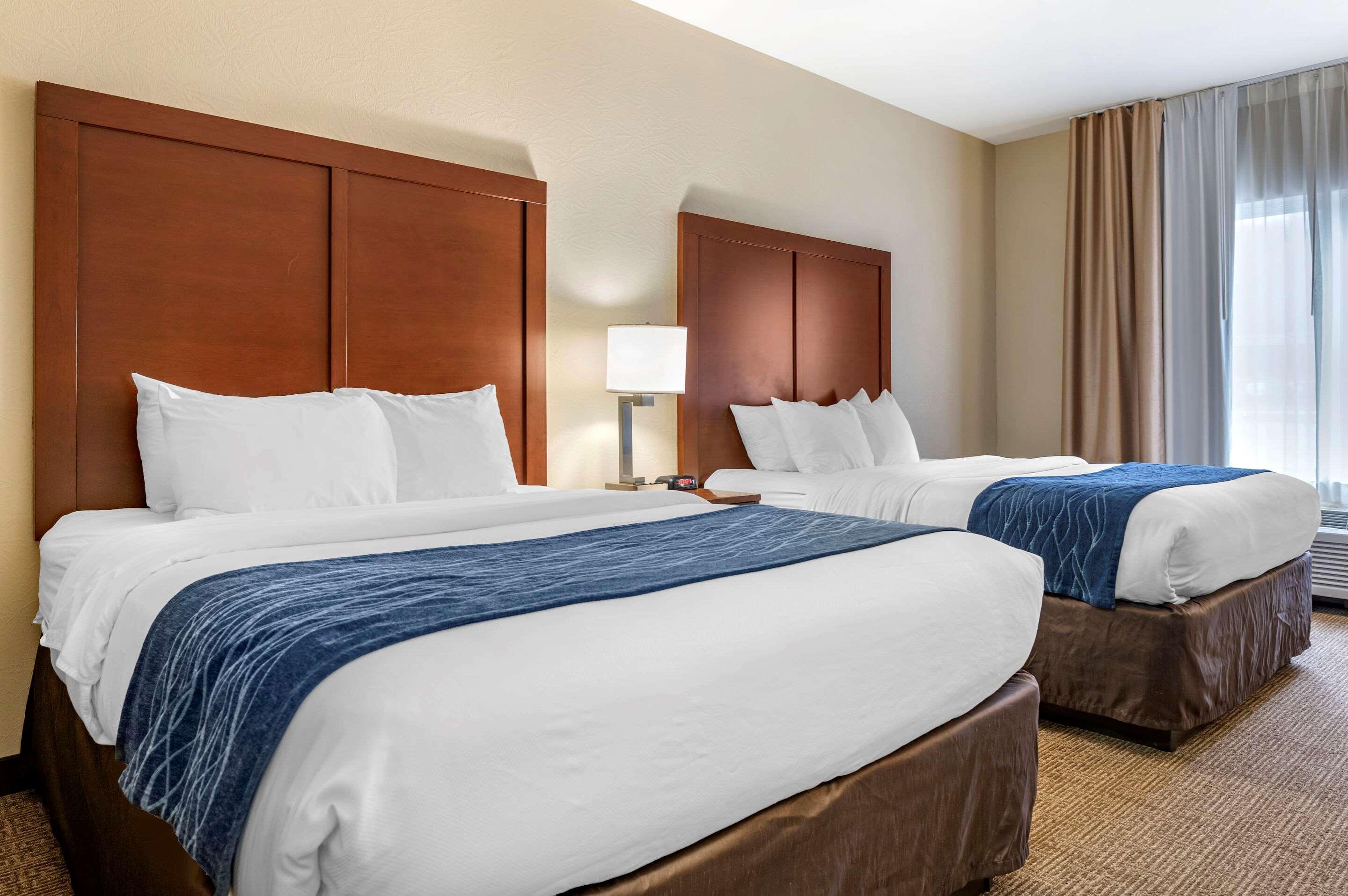 Comfort Inn & Suites Northern Kentucky Wilder Buitenkant foto